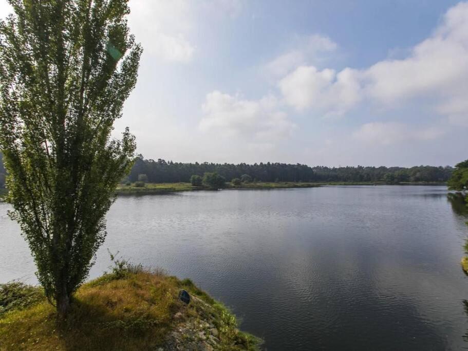 Quinta Da Barca House - Nada Melhor Que Juntar Luxo A Lazer Com Mar E Rio! Еспосенде Екстериор снимка